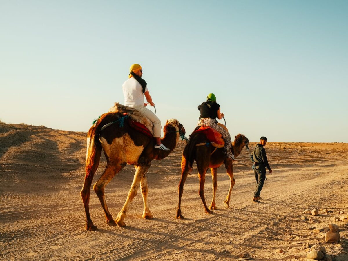 À propos Two tourists riding camels in the vast Moroccan desert under clear blue skies.